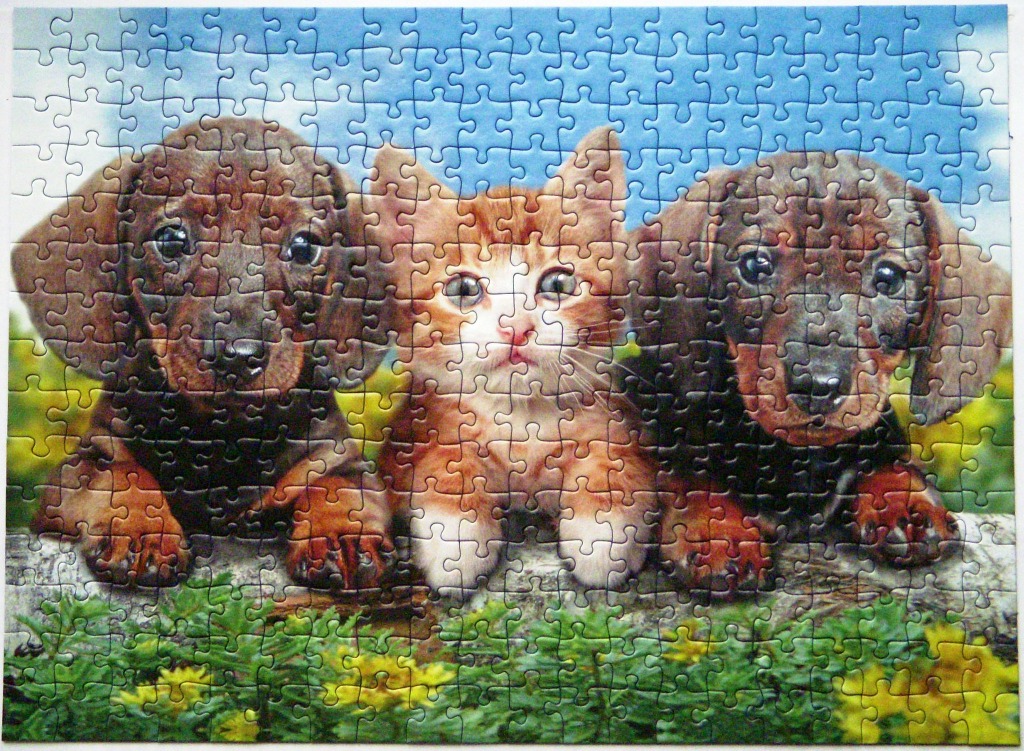 Two dachshund puppies sitting on a log with an orange tabby kitten between them against a bright blue sky.