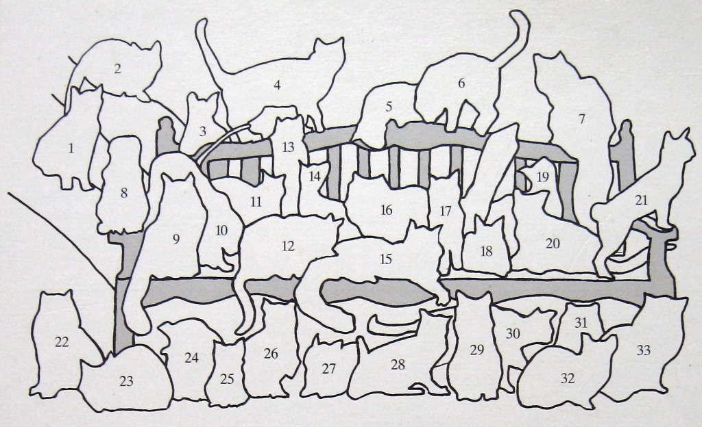 Francien's Cats