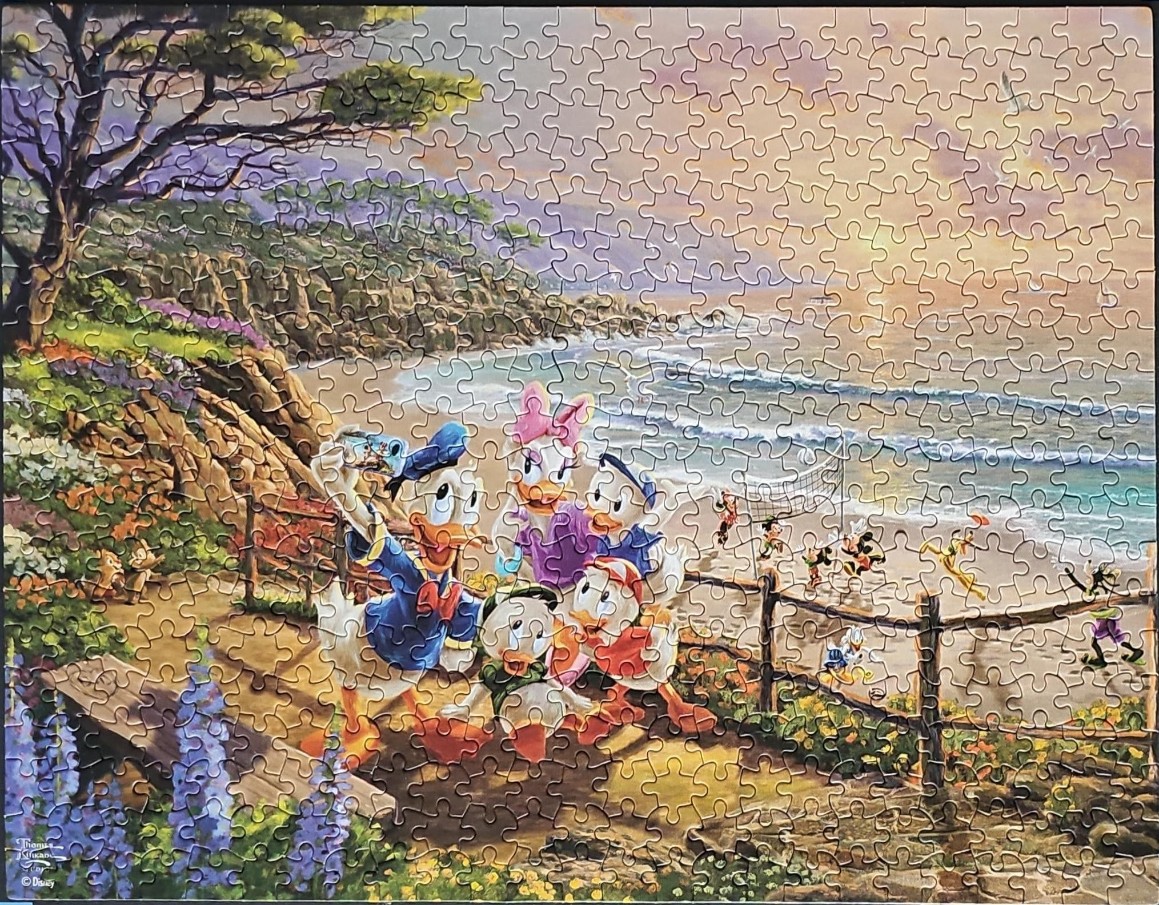 Donald Duck, Daisy Duck, and their nephews taking a selfie at a beach during sunset