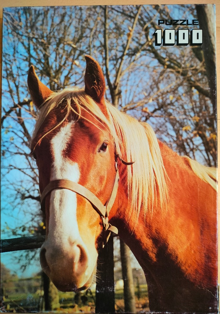 Close-up portrait of a chestnut horse with a blonde mane standing in front of leafless autumn trees.