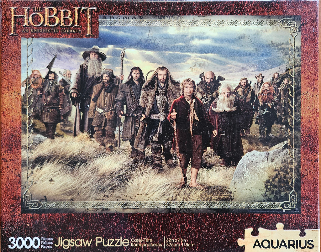 A group of thirteen dwarfs and a hobbit standing in a grassy field against a backdrop of mountains.
