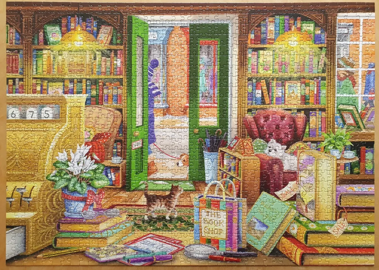Illustration of a cozy, cluttered independent bookstore with a view of a street through an open green door.