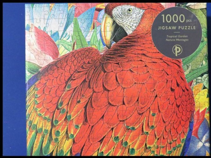 A close-up illustration of a scarlet macaw against a backdrop of lush tropical flowers and foliage.