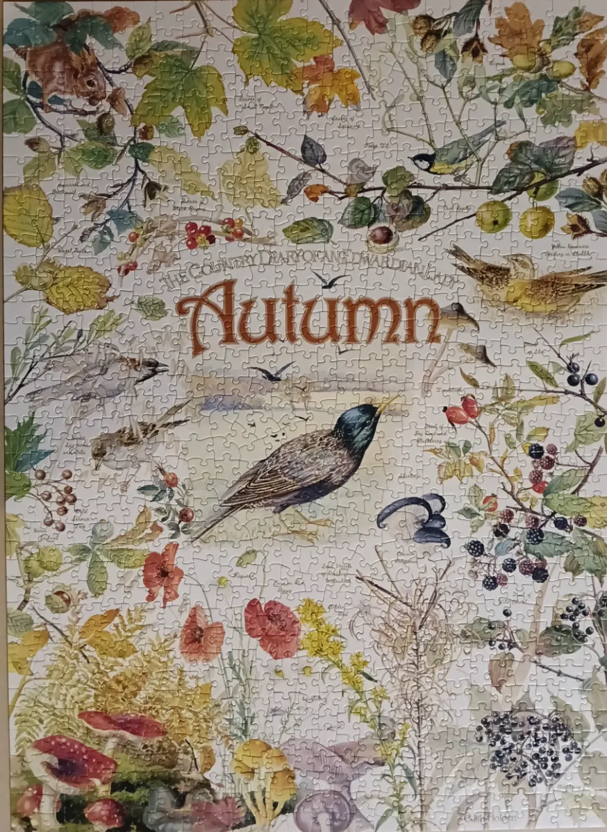 An illustration themed around autumn featuring birds, berries, mushrooms, and flora on a cream background.