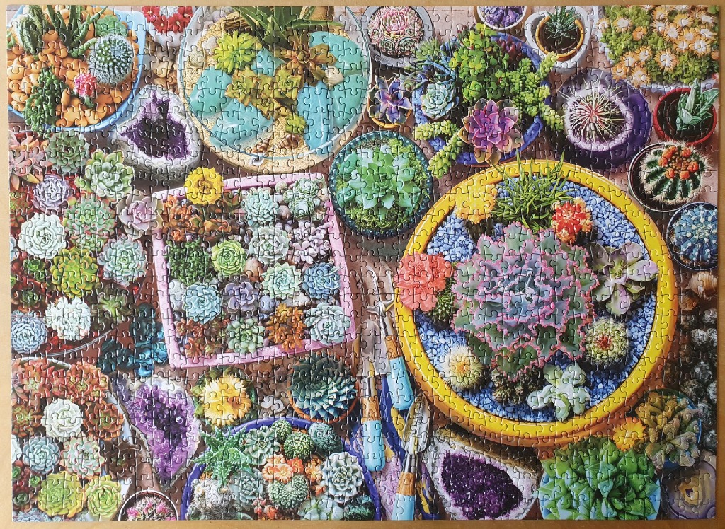 A top-down collection of potted succulents, cacti, and amethyst geodes.
