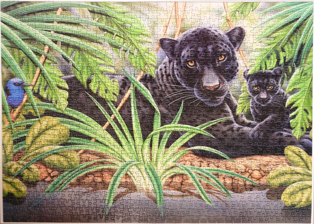 A mother black panther and her cub resting in a lush tropical jungle environment.
