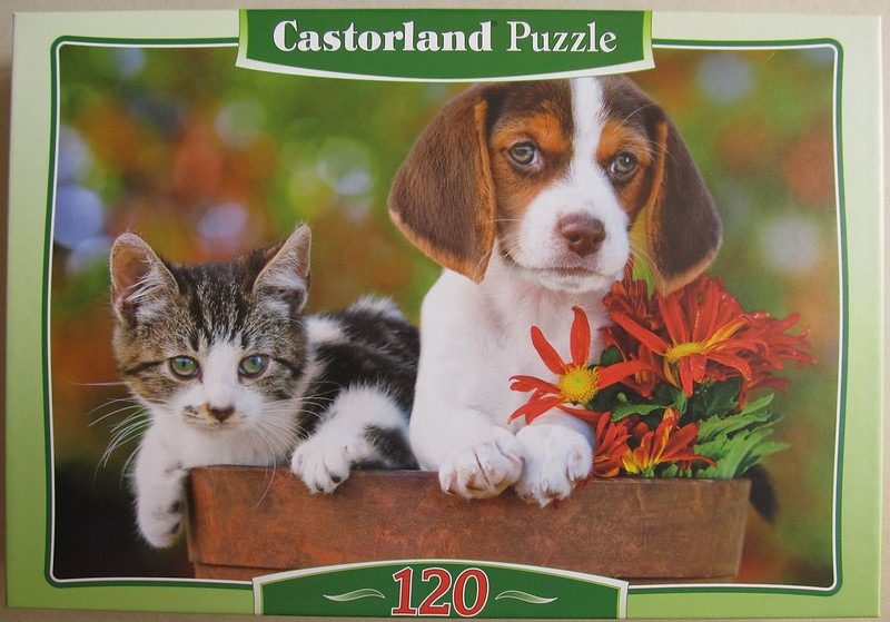 A beagle puppy and a tabby kitten sitting together in a large clay pot surrounded by red flowers.