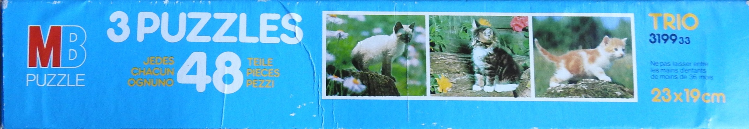 [Kittens]