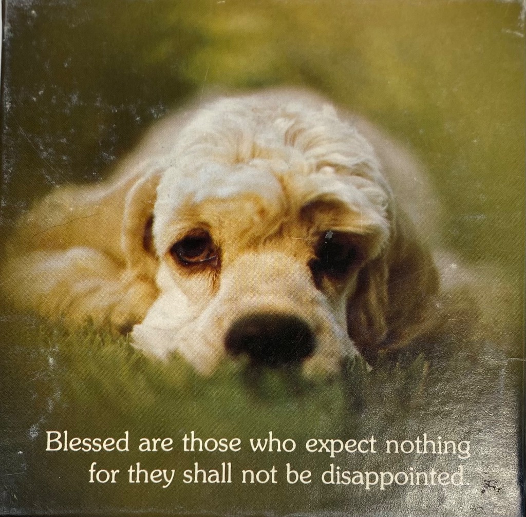 A close-up photograph of a golden Cocker Spaniel puppy resting in green grass with text overlaid at the bottom.