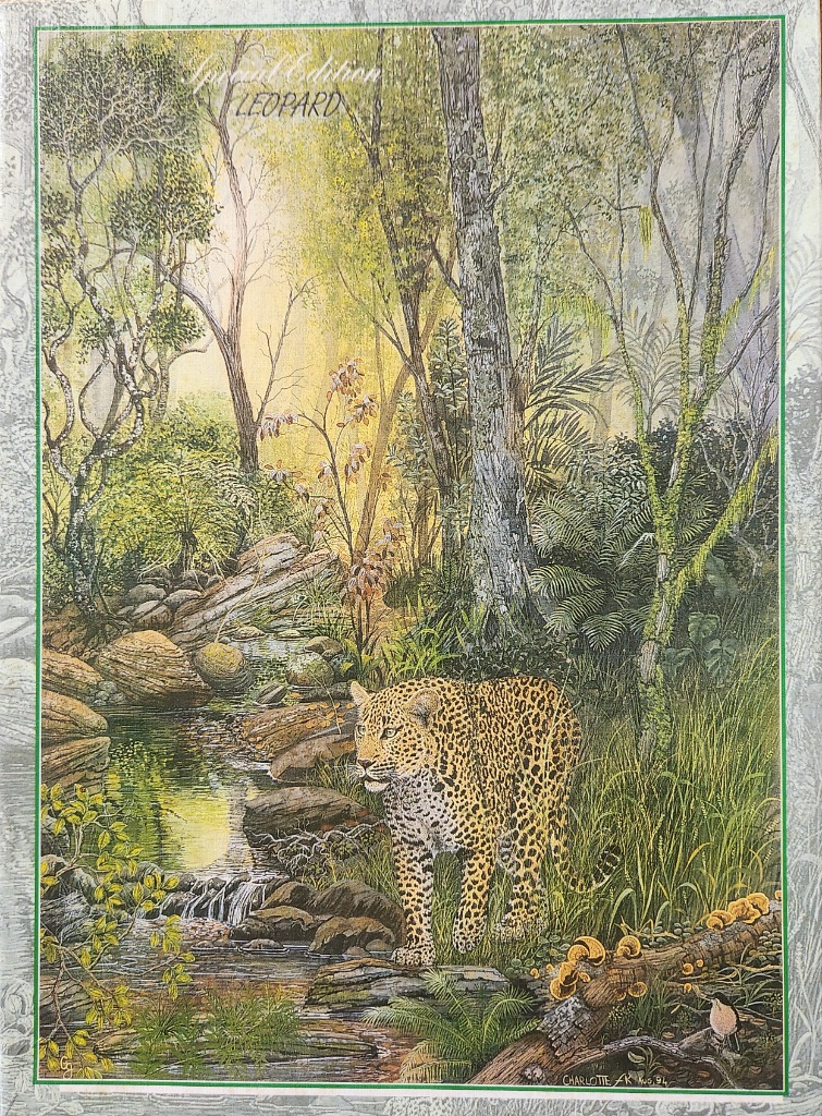 A leopard stands in a lush, green forest beside a small stream in this detailed illustration.