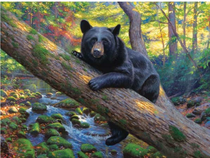 A black bear resting on a fallen log above a mossy stream in a vibrant autumn forest.