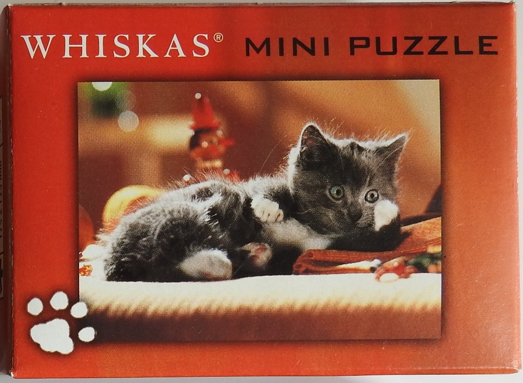 A fluffy grey and white kitten reclining on a soft, warm-toned surface.