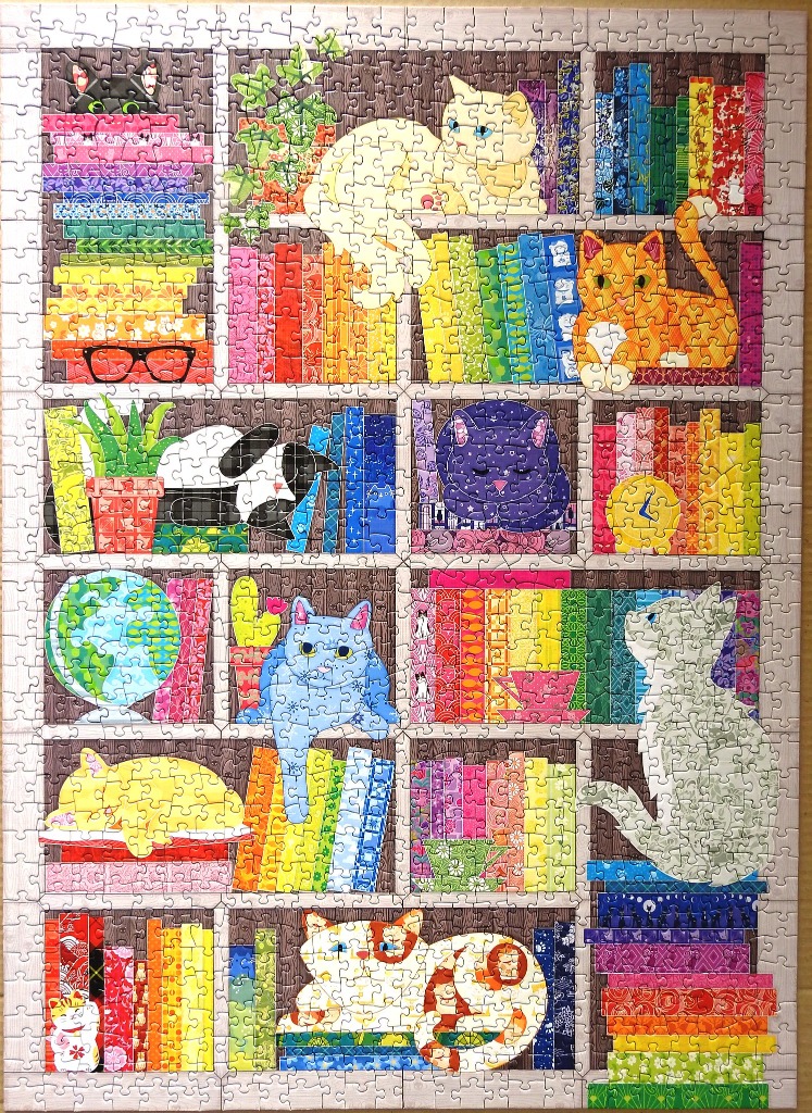 A whimsical illustration of cats resting on rainbow-colored bookshelves filled with patterned books and plants.