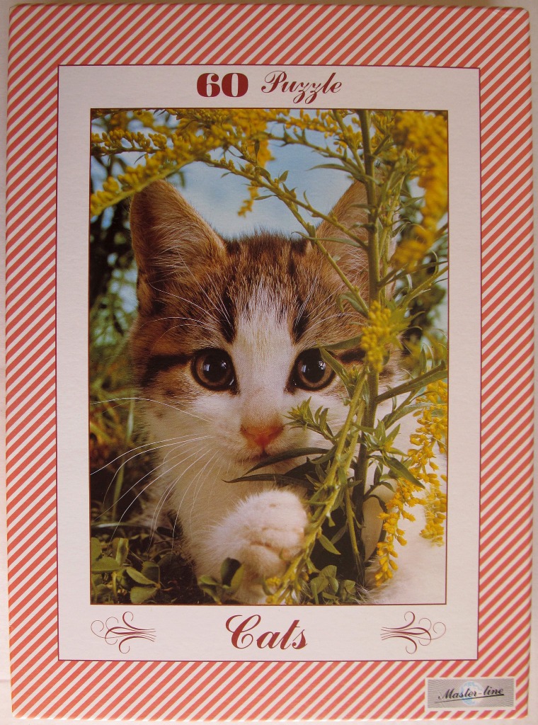 A close-up photograph of a tabby and white kitten peering through vibrant yellow goldenrod flowers.