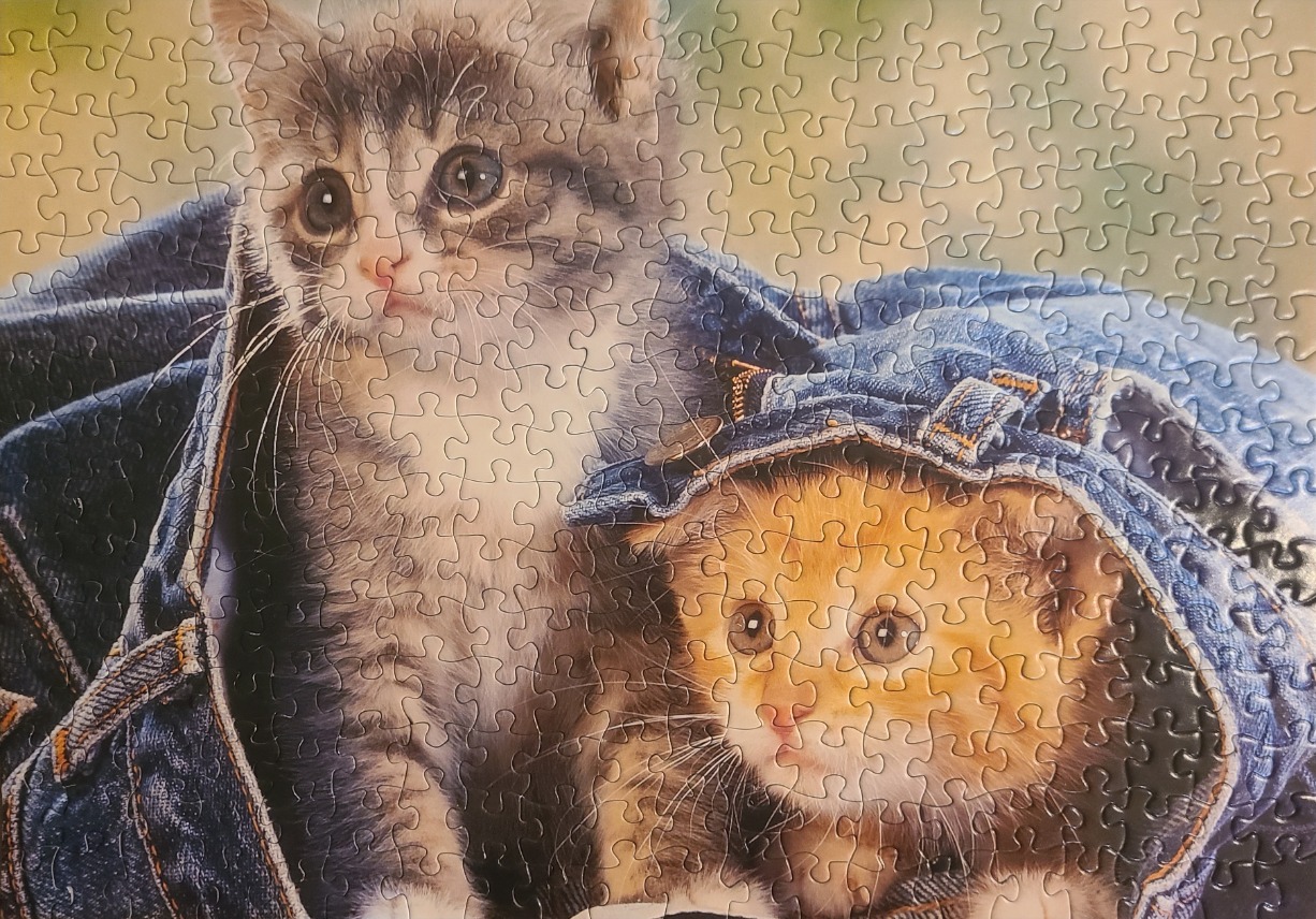 Two kittens, one grey tabby and one orange, peeking out from the pockets and folds of a pair of blue denim jeans.