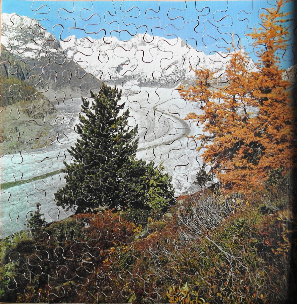 A panoramic landscape view of the Aletsch Glacier in the Swiss Alps with golden autumn trees and snow-capped mountains.