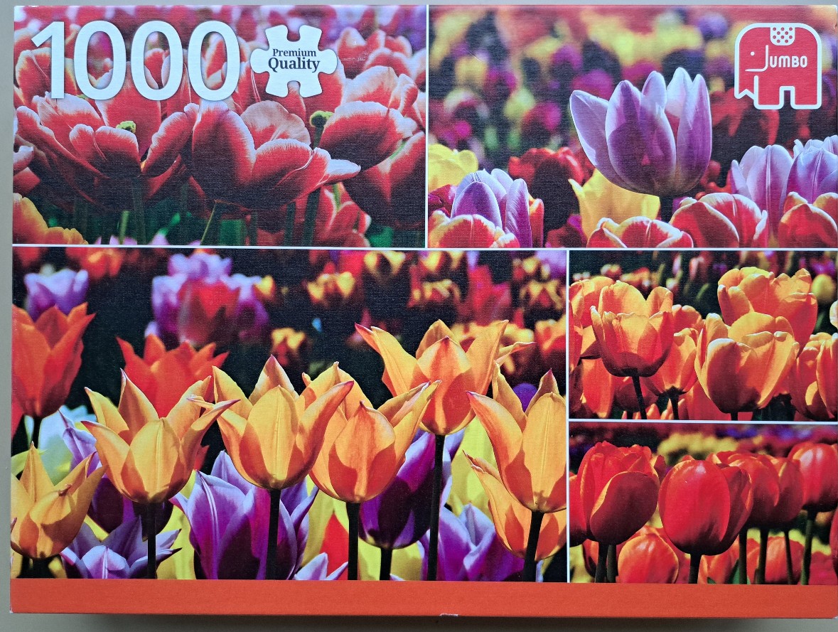 A collage of vibrant, multicolored tulip fields in bloom.
