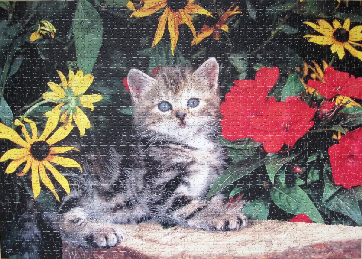 A fluffy tabby kitten sitting on a stone ledge surrounded by bright yellow and red flowers.