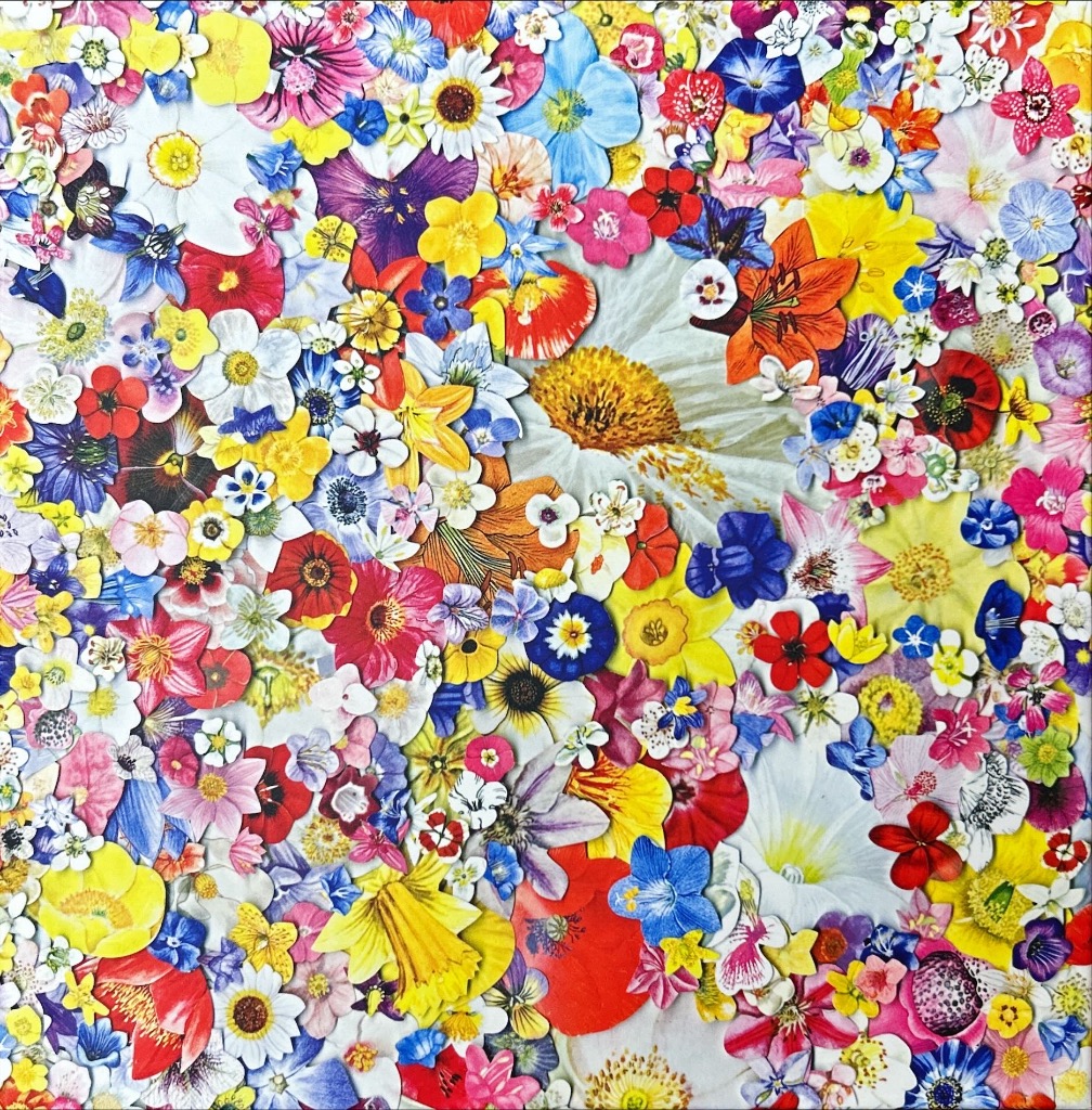 A dense, vibrant collage of various colorful pressed flower illustrations.