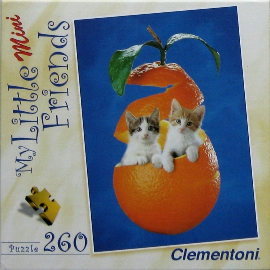 Two kittens sitting inside a hollowed-out orange peel against a deep blue background.