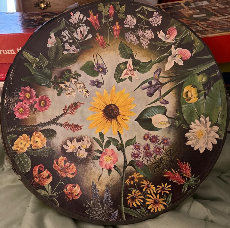 A circular botanical illustration featuring a bright yellow sunflower surrounded by various colorful wildflowers.