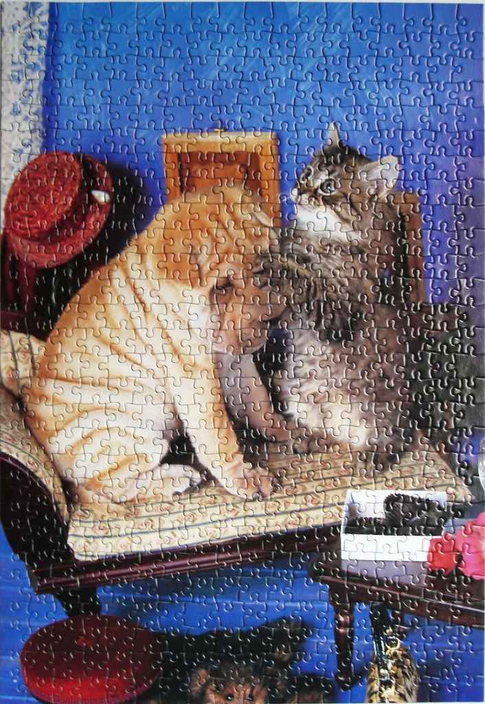 A golden Shar-Pei dog and a fluffy tabby cat interacting on an ornate bench against a bright blue wall.