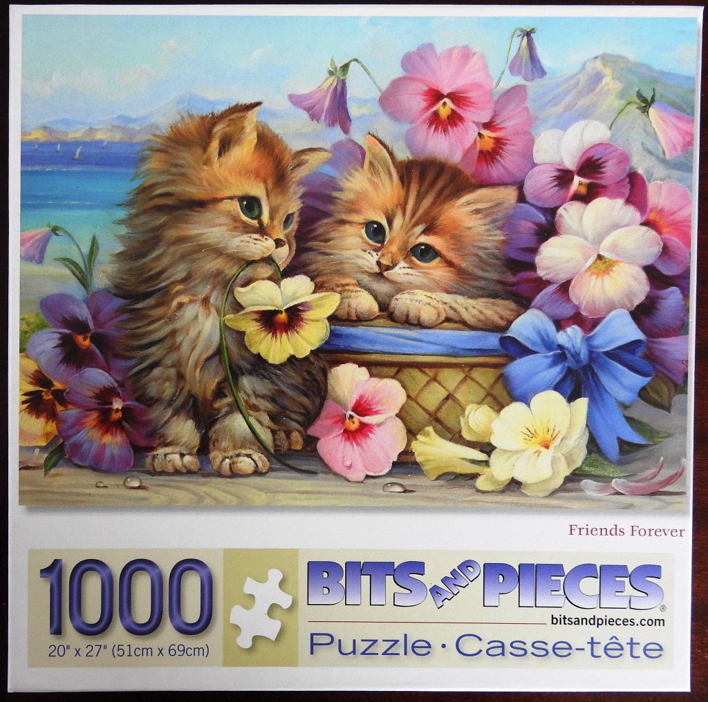 Two fluffy tabby kittens sitting in and beside a wicker basket surrounded by colorful pansies with a coastal background.