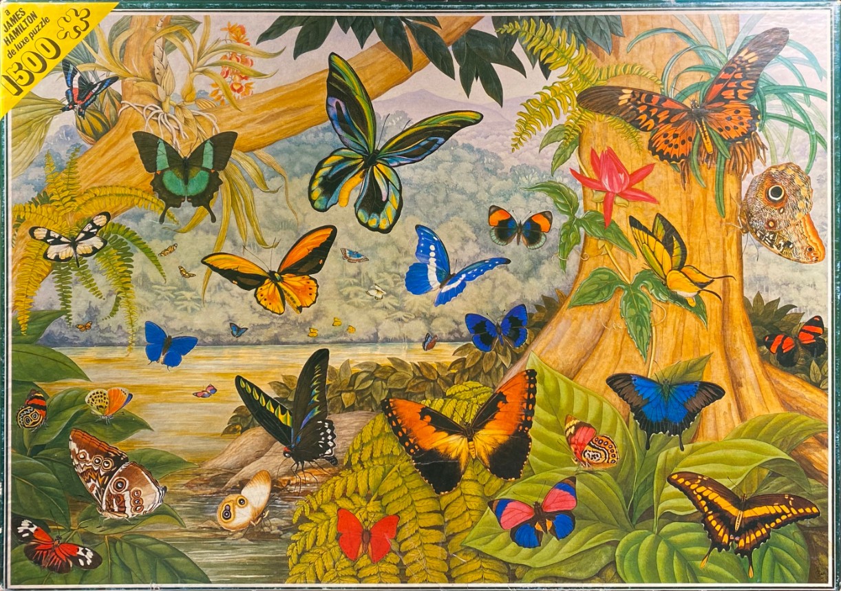 An illustration of numerous colorful butterflies in a lush jungle setting by a river.