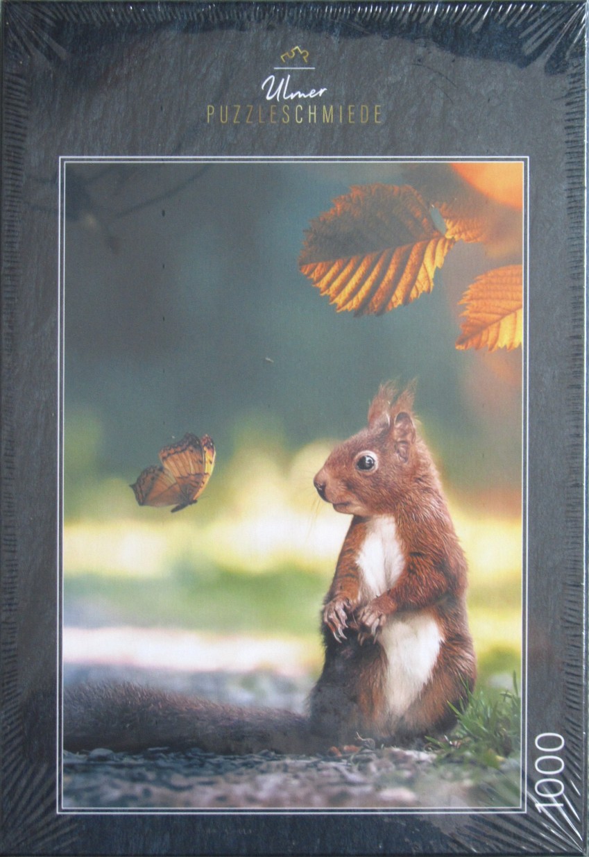 A red squirrel sitting on a forest floor, looking at a small butterfly.