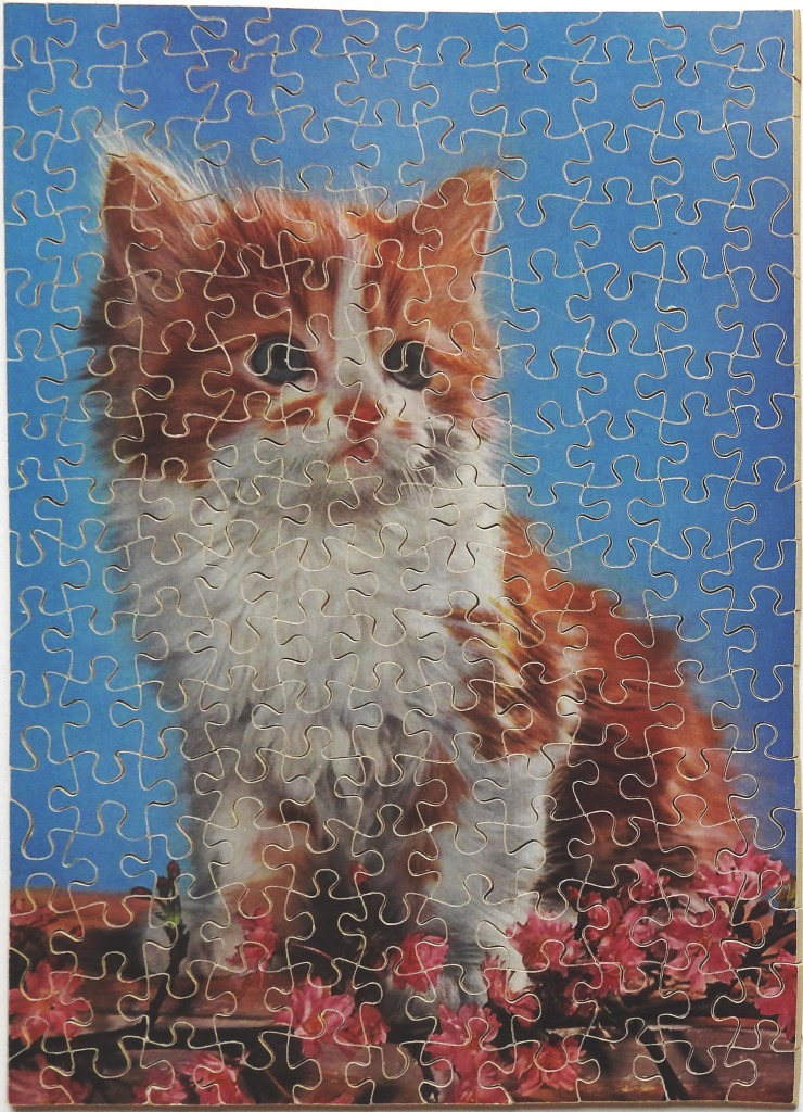 A fluffy orange and white kitten sitting behind pink cherry blossoms against a blue background.