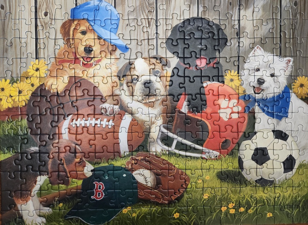 Five adorable puppies surrounded by various sports equipment against a wooden fence.