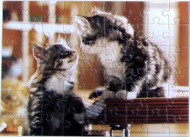 Two fluffy tabby kittens facing each other on top of a piano