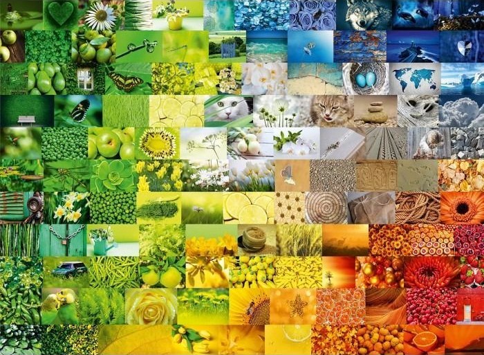A collage of diverse images organized by a vibrant color gradient from green to yellow, orange, and blue.