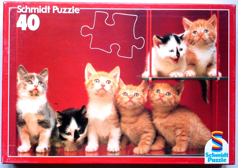 Six kittens of various breeds sitting against a bright red background.