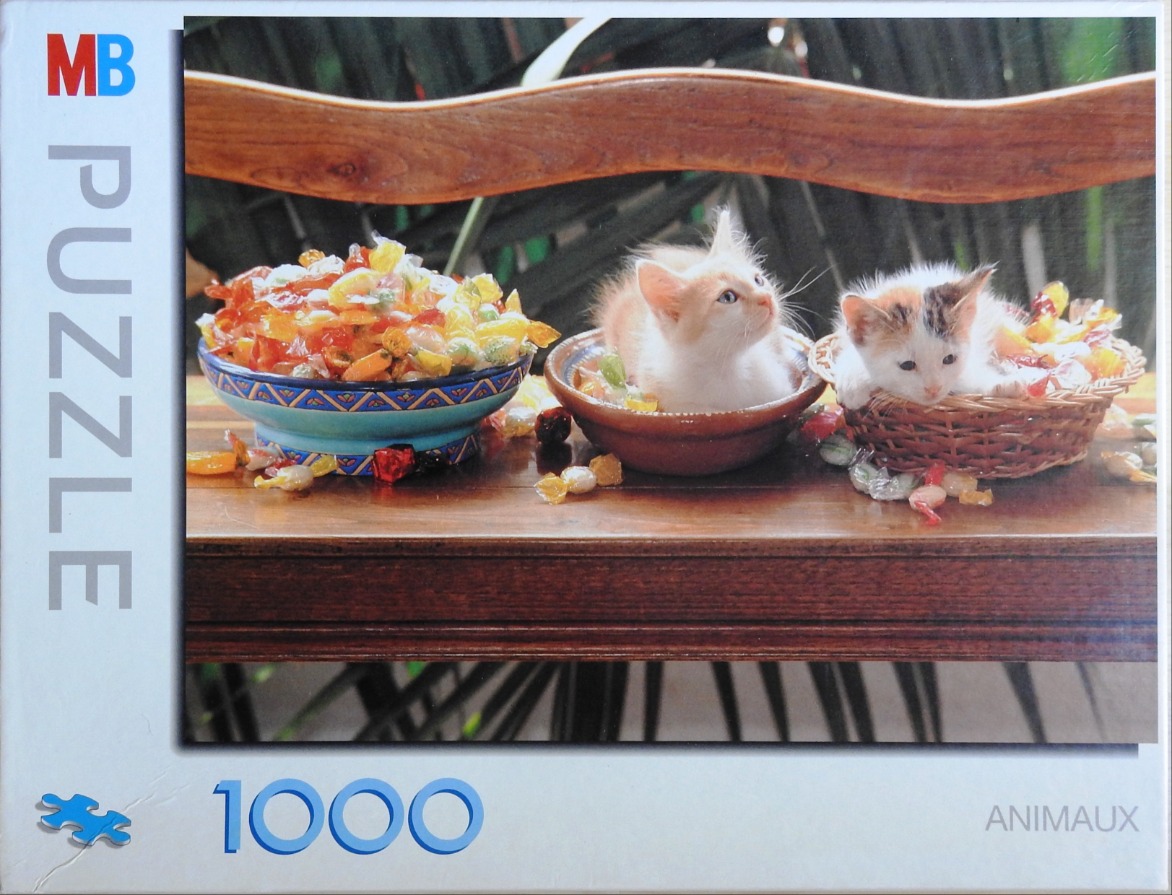 Two kittens sitting in bowls on a wooden bench surrounded by colorful wrapped candies