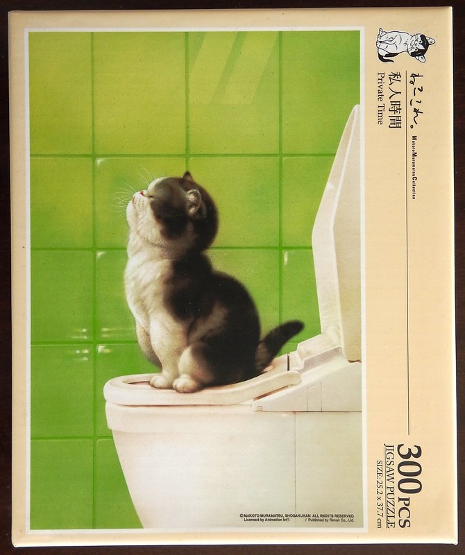 A fluffy black and white kitten sitting on a white toilet seat against a green tiled wall.