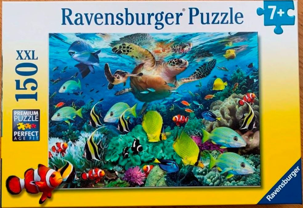 A sea turtle swimming in a colorful coral reef surrounded by tropical fish.