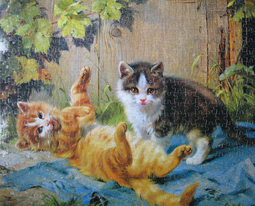 Two kittens playing on a blue cloth against a wooden fence