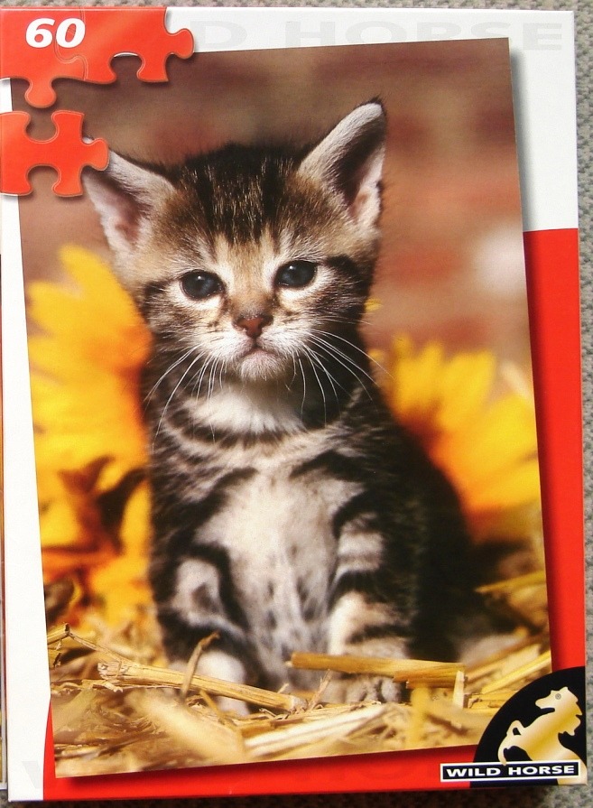 A close-up photograph of a tiny brown tabby kitten sitting in straw in front of a large, bright yellow sunflower.