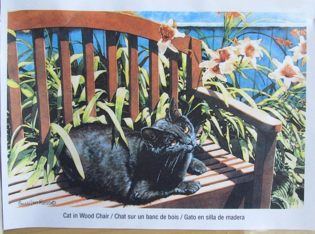 A black cat resting on a slatted wooden bench surrounded by daylilies.
