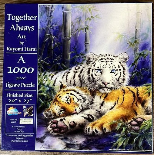 A white tiger and an orange tiger lying together in a misty bamboo forest.