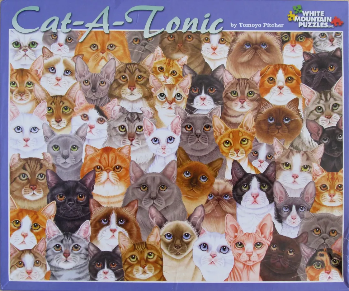 A dense, colorful montage of many cat faces of various breeds and coat patterns.