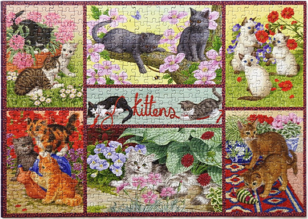 A collage of various kittens playing in gardens and indoor settings.