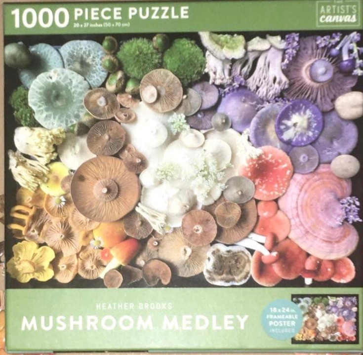 A dense, vibrant collection of various mushrooms in shades of brown, white, purple, green, yellow, and red.