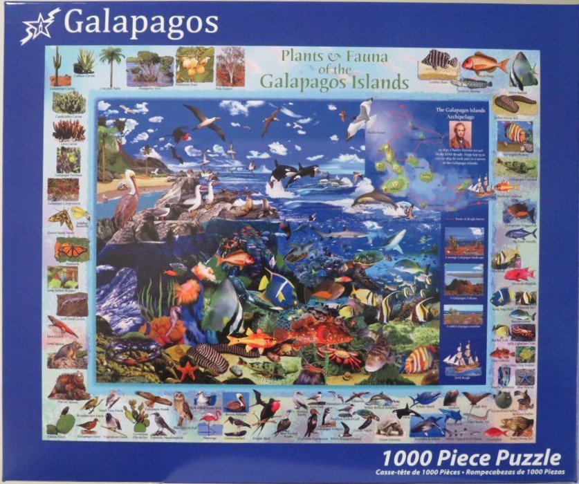 Collage of Galapagos Islands wildlife, including tropical fish, birds, and island map.