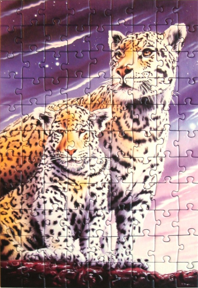 A digital illustration of a leopard mother and her cub against a dramatic, starry twilight sky.
