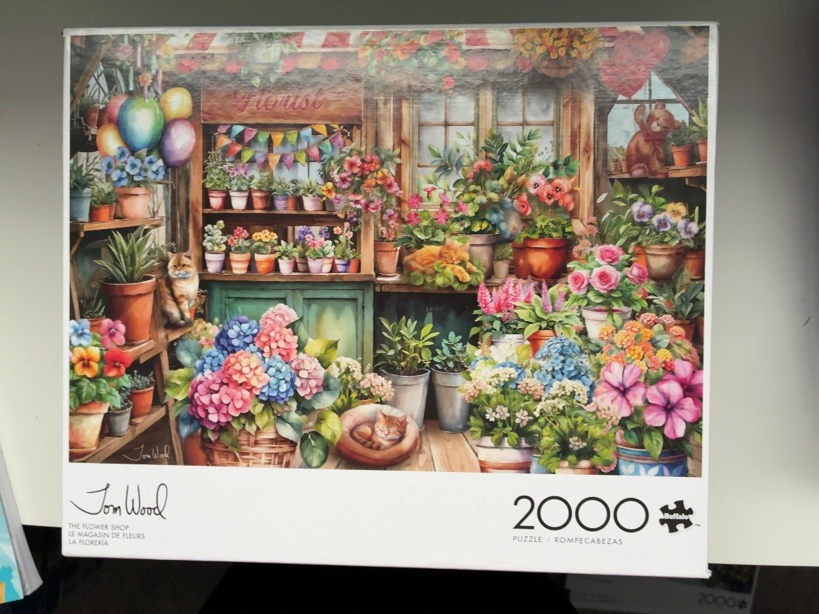 A cozy flower shop filled with colorful potted plants, hydrangeas, and resting cats in an oil painting style.