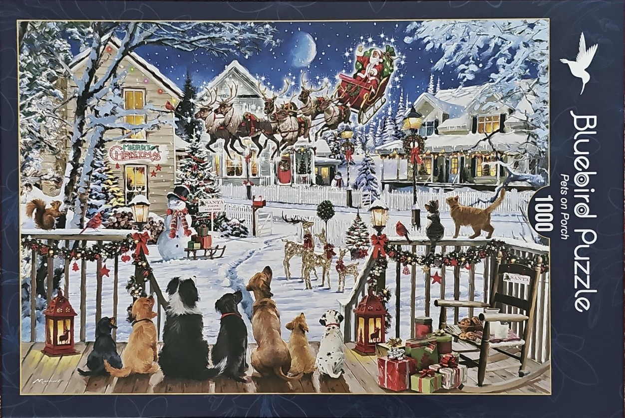 Seven dogs watching Santa Claus fly over a snow-covered suburban street at night.