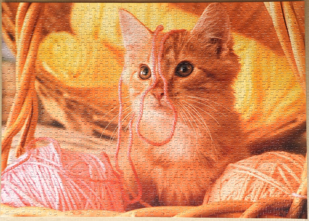 An orange tabby kitten sitting in a basket surrounded by soft pink yarn, illuminated by a warm, golden glow.