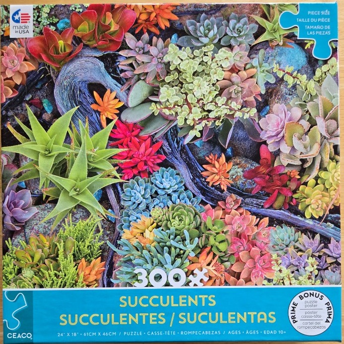 A top-down photographic close-up of a vibrant variety of succulents planted among dark weathered rocks and driftwood.